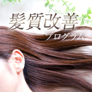 髪質改善プログラム